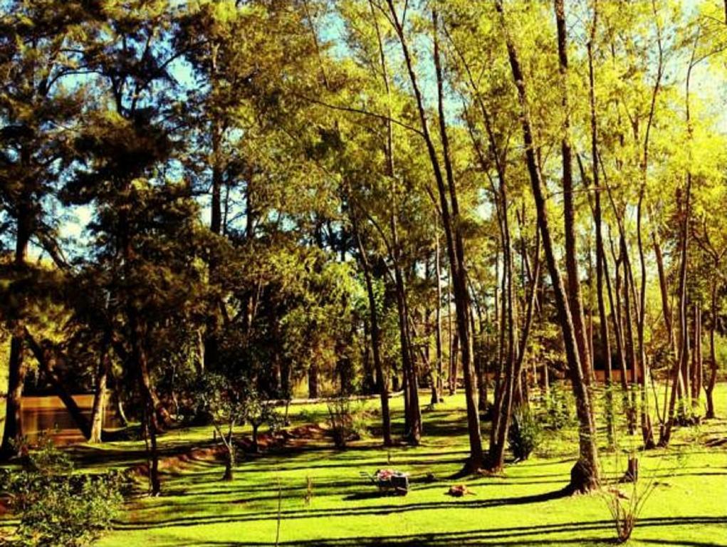 Cabanas Isla San Jose Tigre Oda fotoğraf
