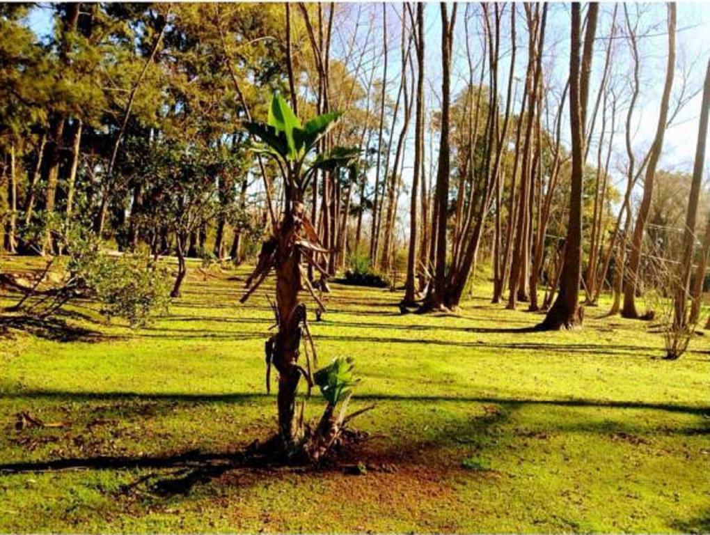 Cabanas Isla San Jose Tigre Oda fotoğraf
